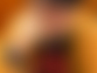 新しい試み
